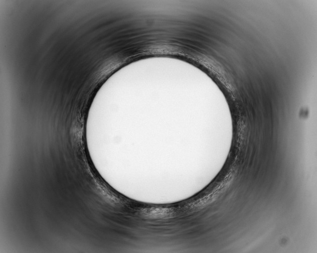 X0000103940841200810101414