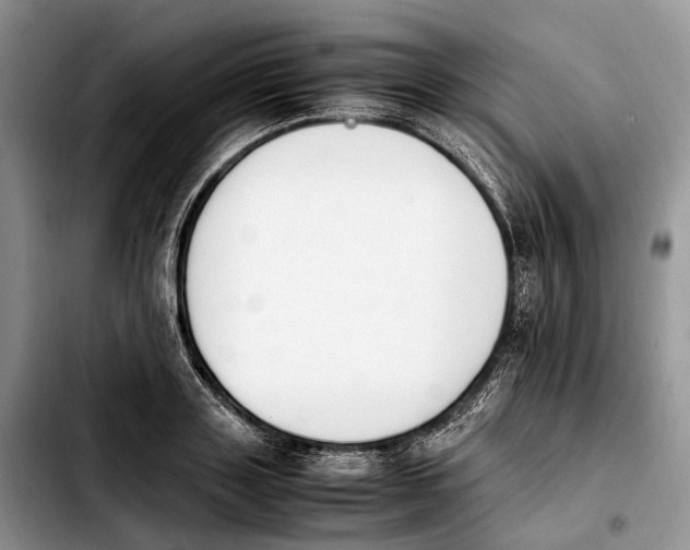 X0000103940843200810101414