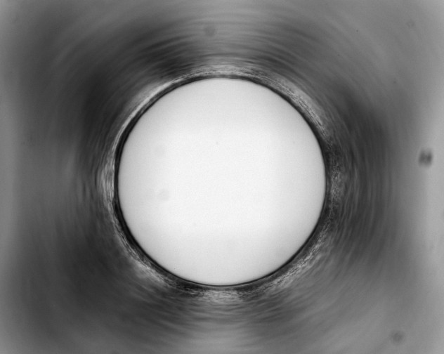 X0000103940844200810101414