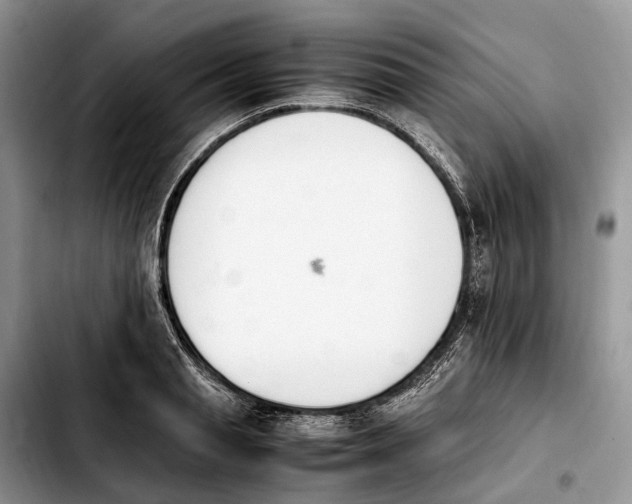 X0000103940845200810101414