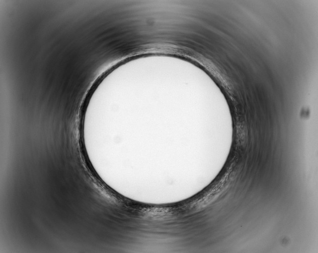 X0000103940846200810101414