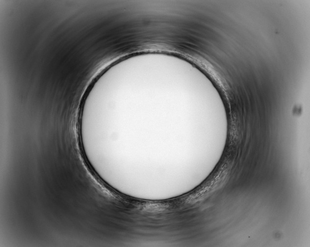 X0000103940847200810101414