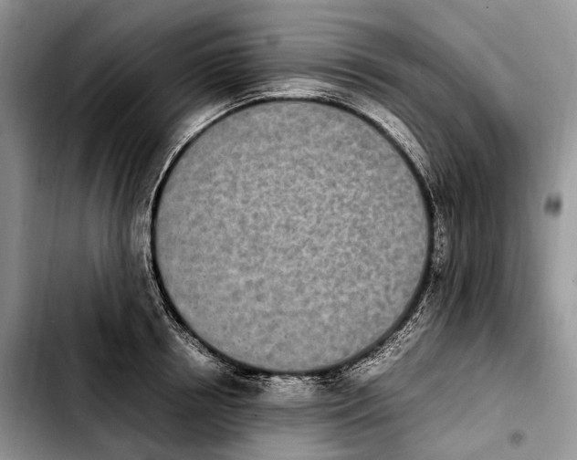 X0000103940850200810101414