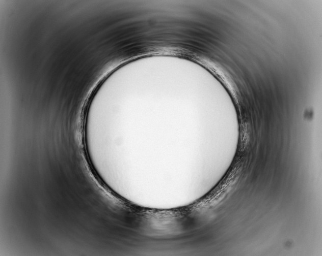 X0000103940851200810101414