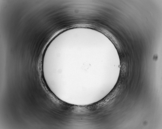 X0000103940852200810101414