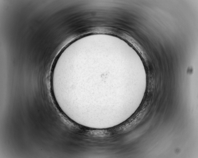 X0000103940853200810101414