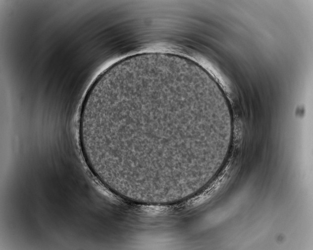 X0000103940854200810101414