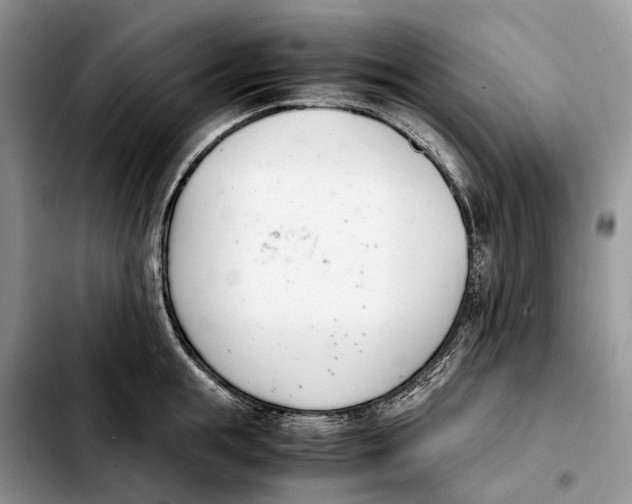 X0000103940855200810101414