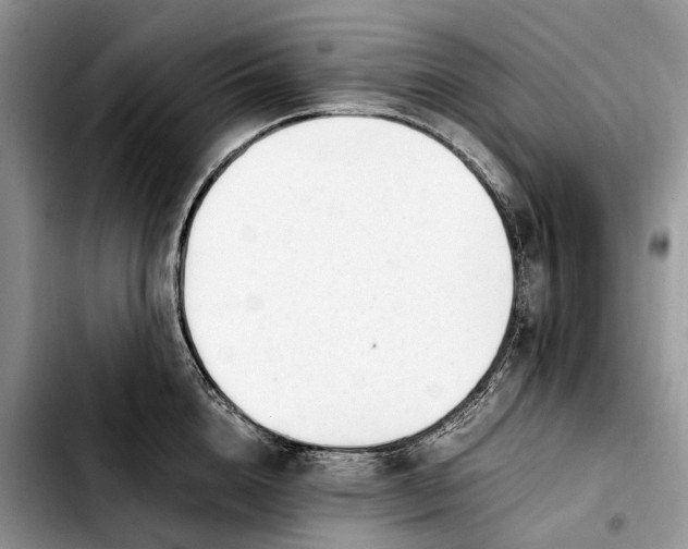 X0000103940856200810101414