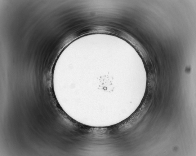 X0000103940858200810101414