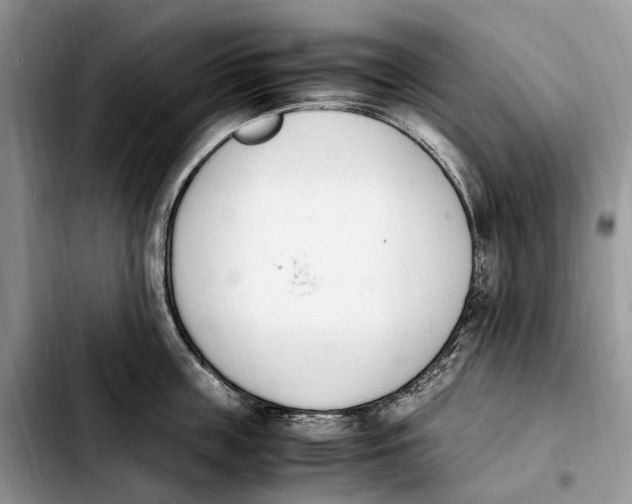 X0000103940859200810101414