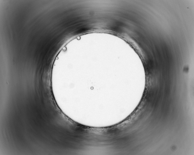 X0000103940860200810101414