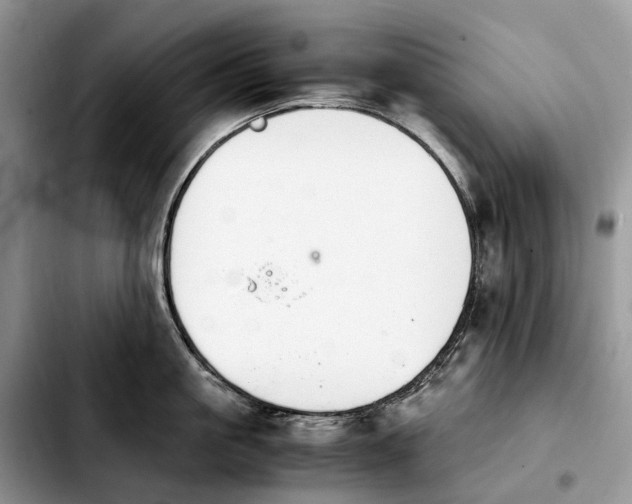 X0000103940861200810101414