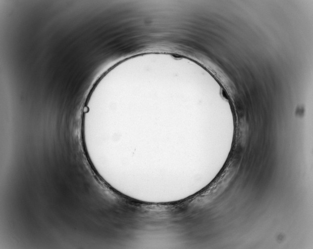 X0000103940862200810101414