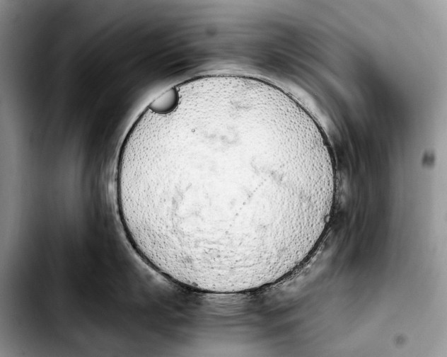 X0000103940863200810101414