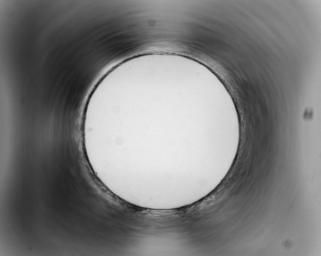 X0000103940864200810101414