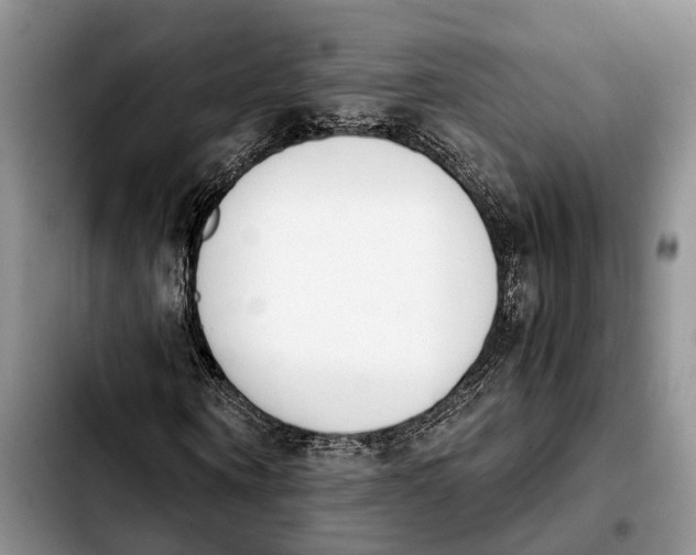 X0000103940866200810101414