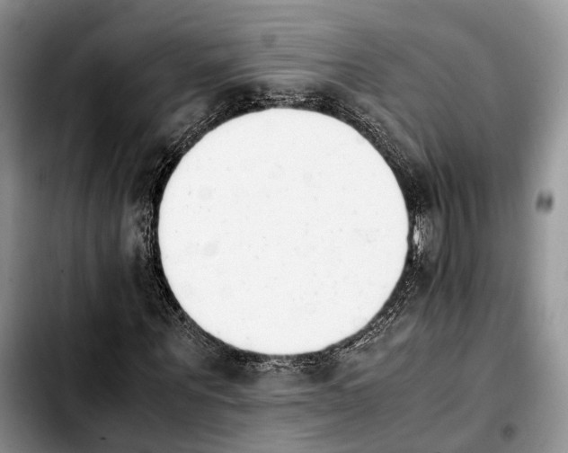 X0000103940867200810101414