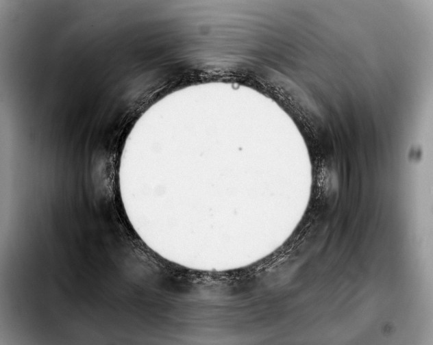 X0000103940868200810101414