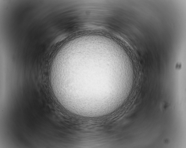 X0000103940869200810101414