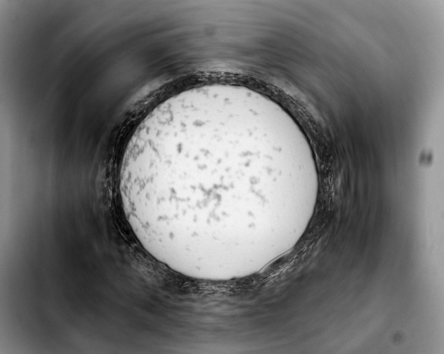 X0000103940870200810101414