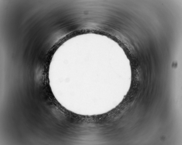 X0000103940872200810101414