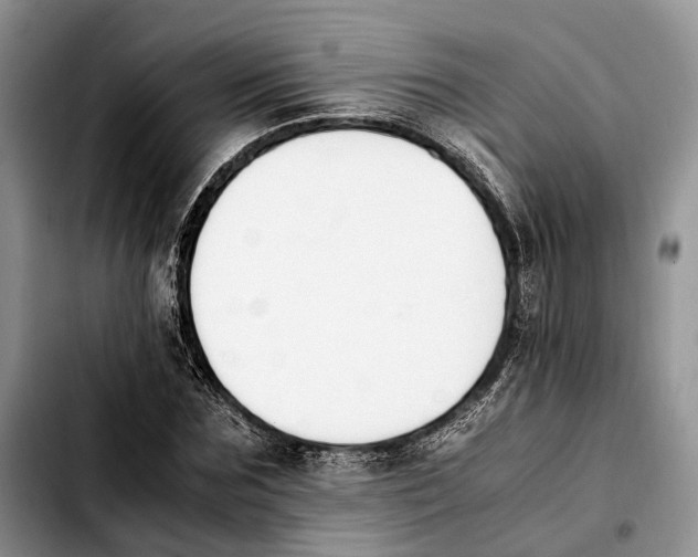 X0000103940875200810101414