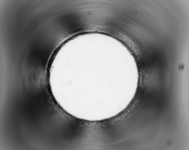 X0000103940876200810101414