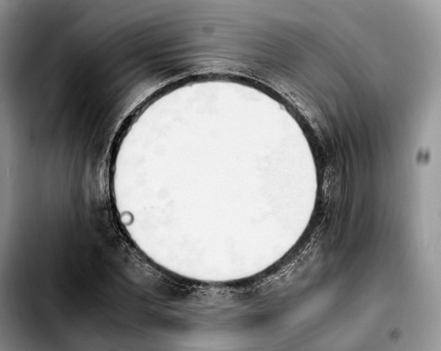 X0000103940877200810101414