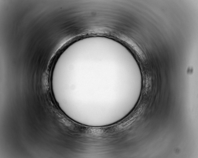 X0000103940878200810101414