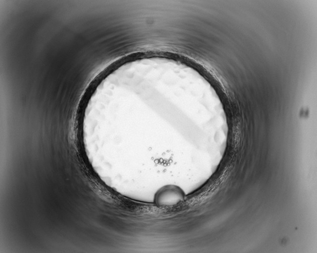 X0000103940879200810101414