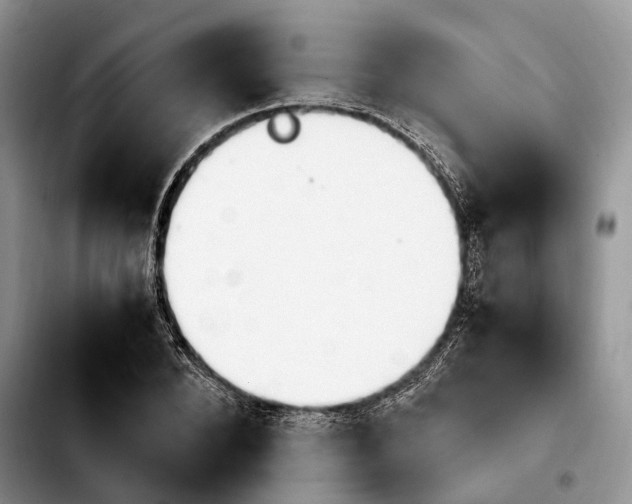 X0000103940880200810101414