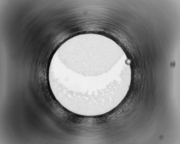 X0000103940881200810101414