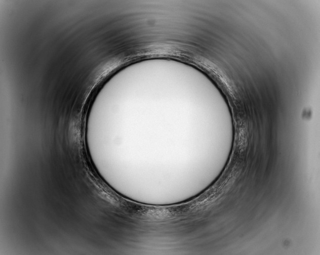 X0000103940882200810101414