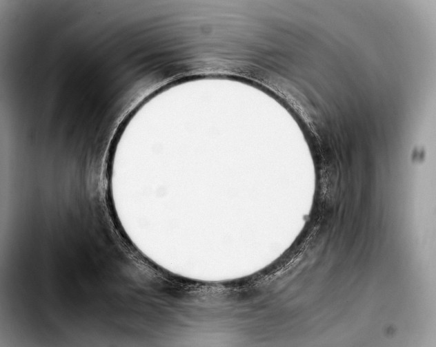 X0000103940885200810101413