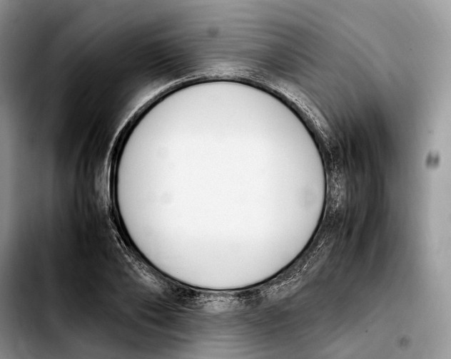 X0000103940886200810101413