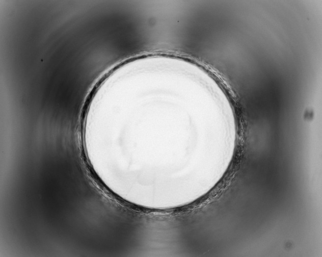 X0000103940888200810101413