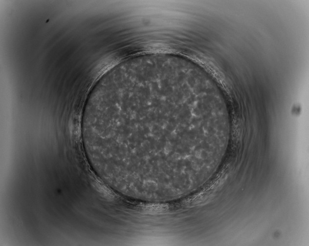 X0000103940889200810101413