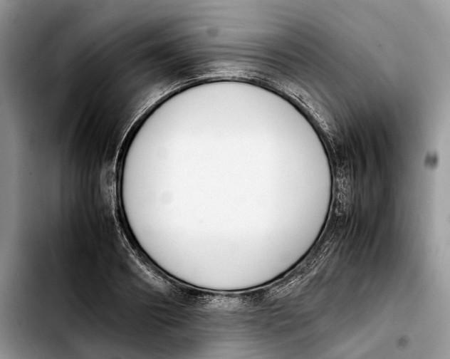 X0000103940890200810101413