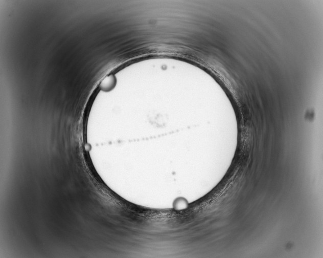 X0000103940891200810101413