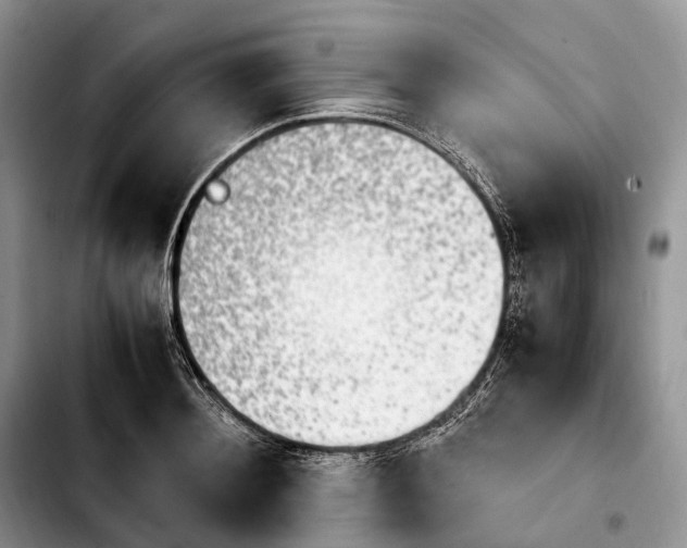 X0000103940892200810101413