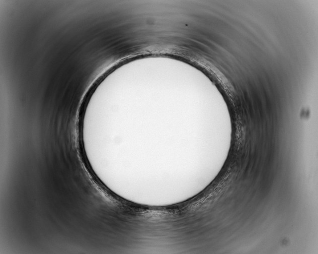 X0000103940894200810101413