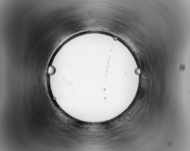 X0000103940895200810101413