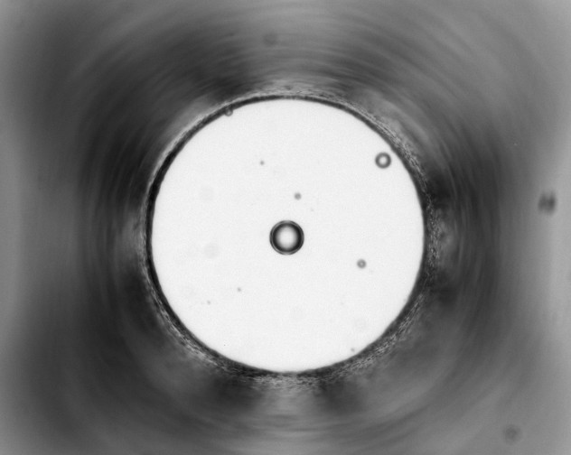 X0000103940896200810101413