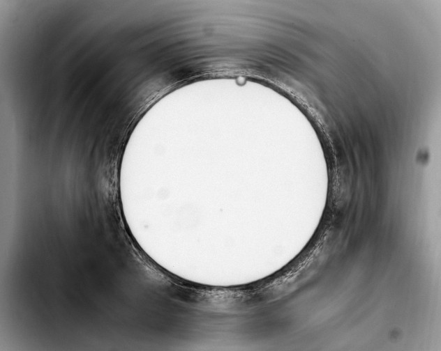 X0000103940897200810101413