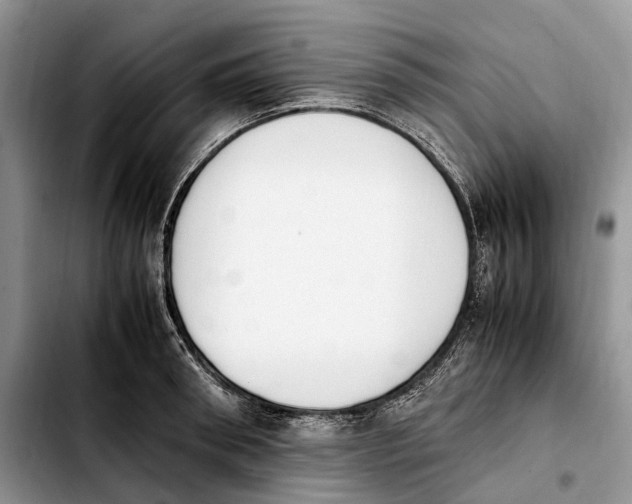 X0000103940898200810101413