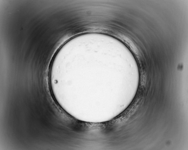 X0000103940899200810101413