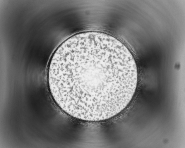 X0000103940900200810101413