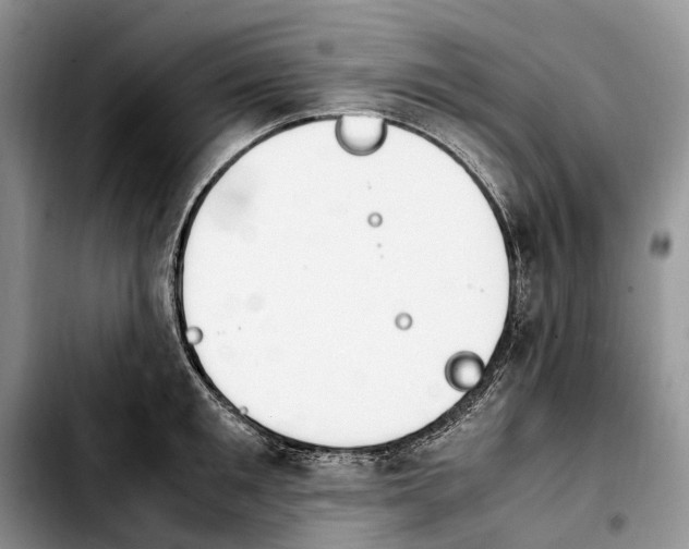 X0000103940901200810101413