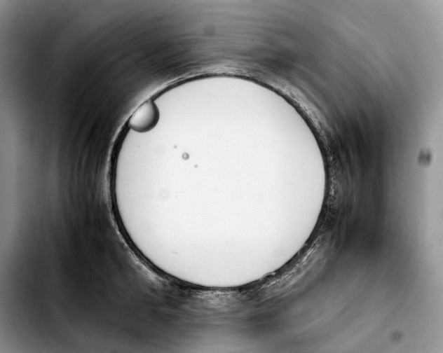 X0000103940902200810101413